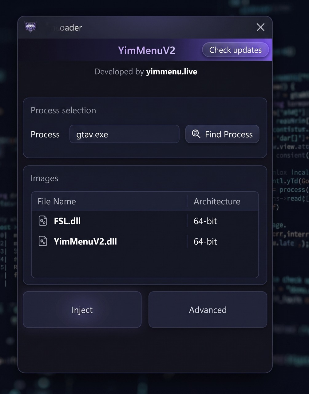 YimLoader Interface
